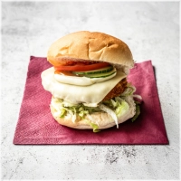 incl. gebakken ui, sla komkommer en tomaat en gesmolten kaas